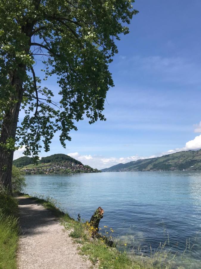Moderne Unterkunft Mit Panoramablick Auf Thunersee Krattigen Экстерьер фото